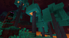 Обновление 1.16.210.png